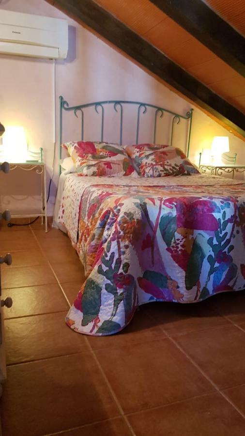 Chalet La Huerta Con Piscina Y Wifi Conil De La Frontera Bagian luar foto